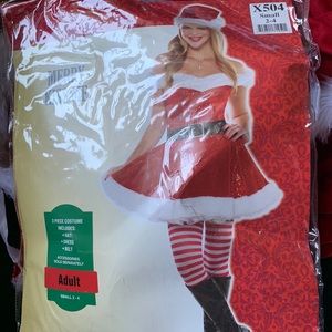 Mrs. Sexy Santa Claus costume. 7 items included.